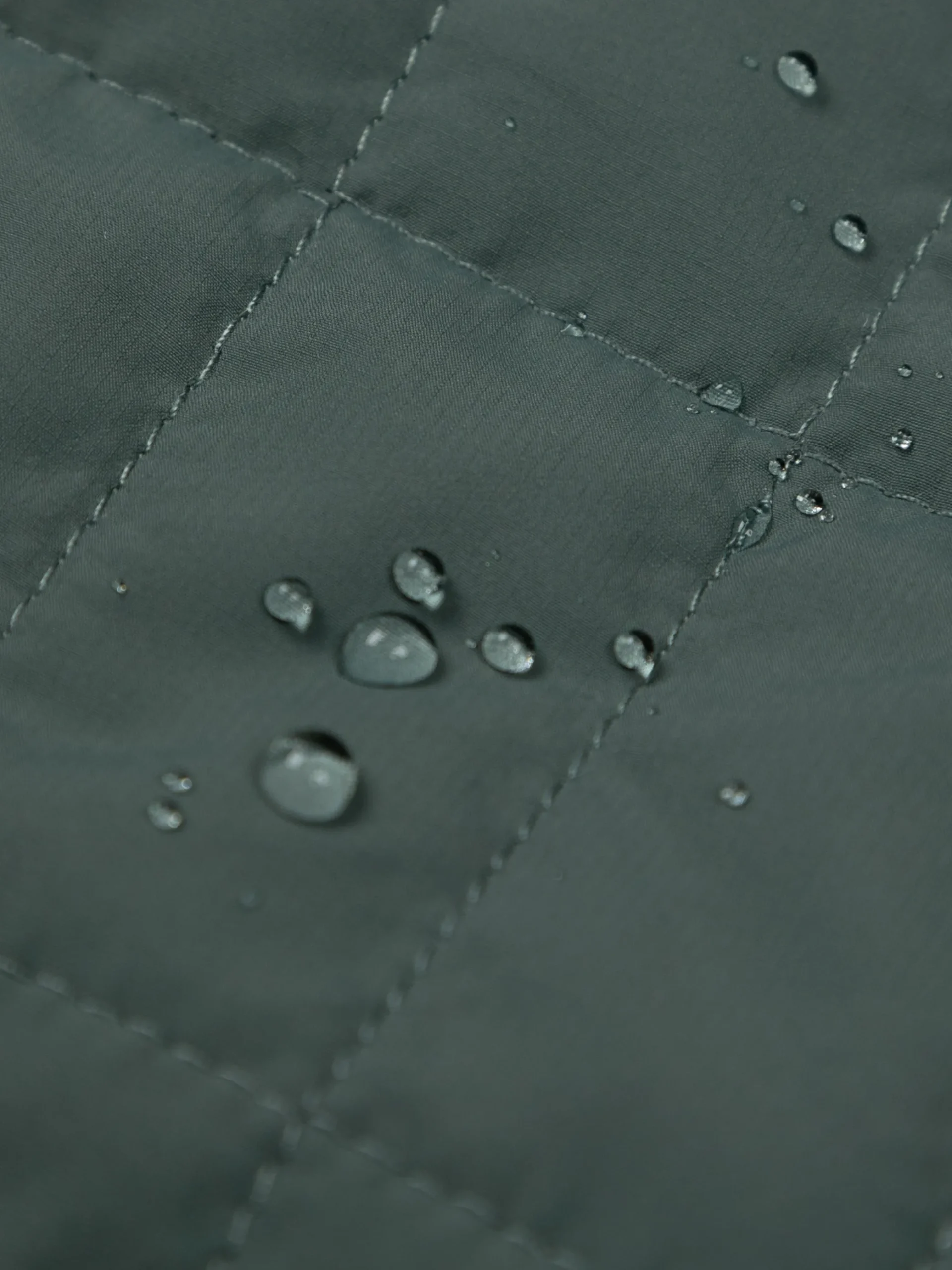 Women's Firecrest Hooded Jacket