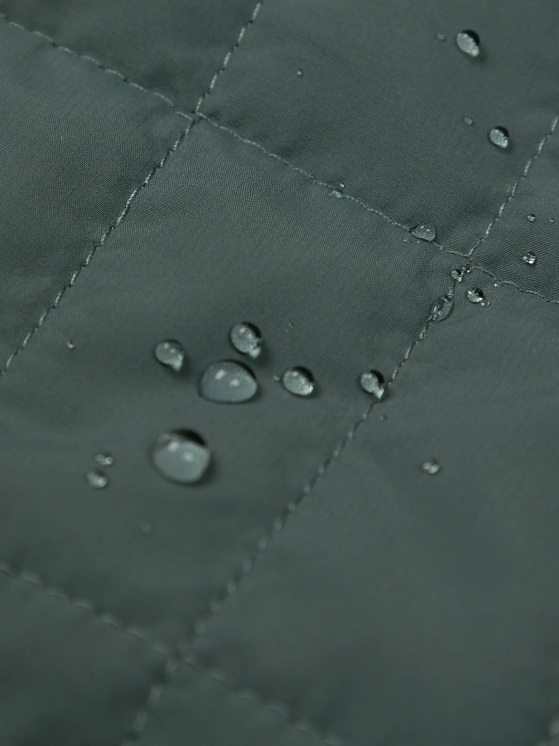 Women's Firecrest Jacket